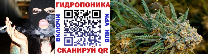 МАРИХУАНА гибрид Колпашево
